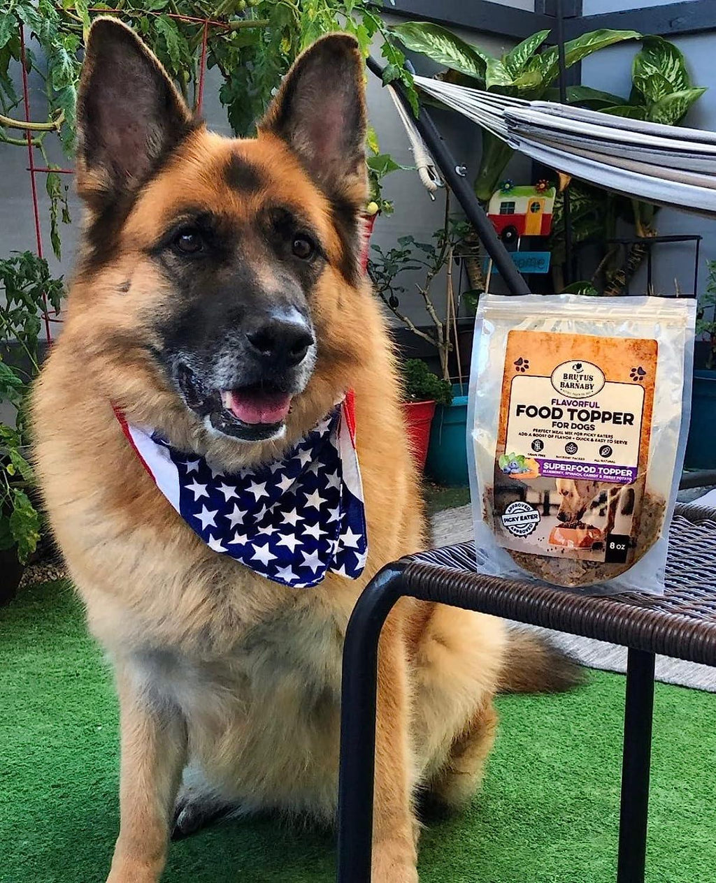 Dog Food Topper product image 8
