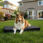 Waterproof Orthopedic Dog Bed product image 6