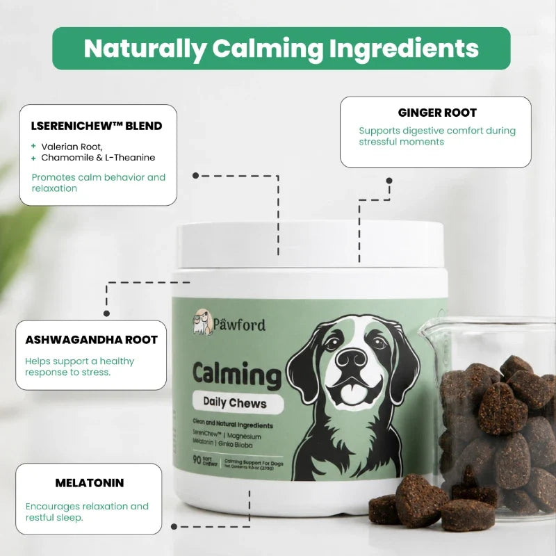 Dog Calming Chew Supplement product image 5