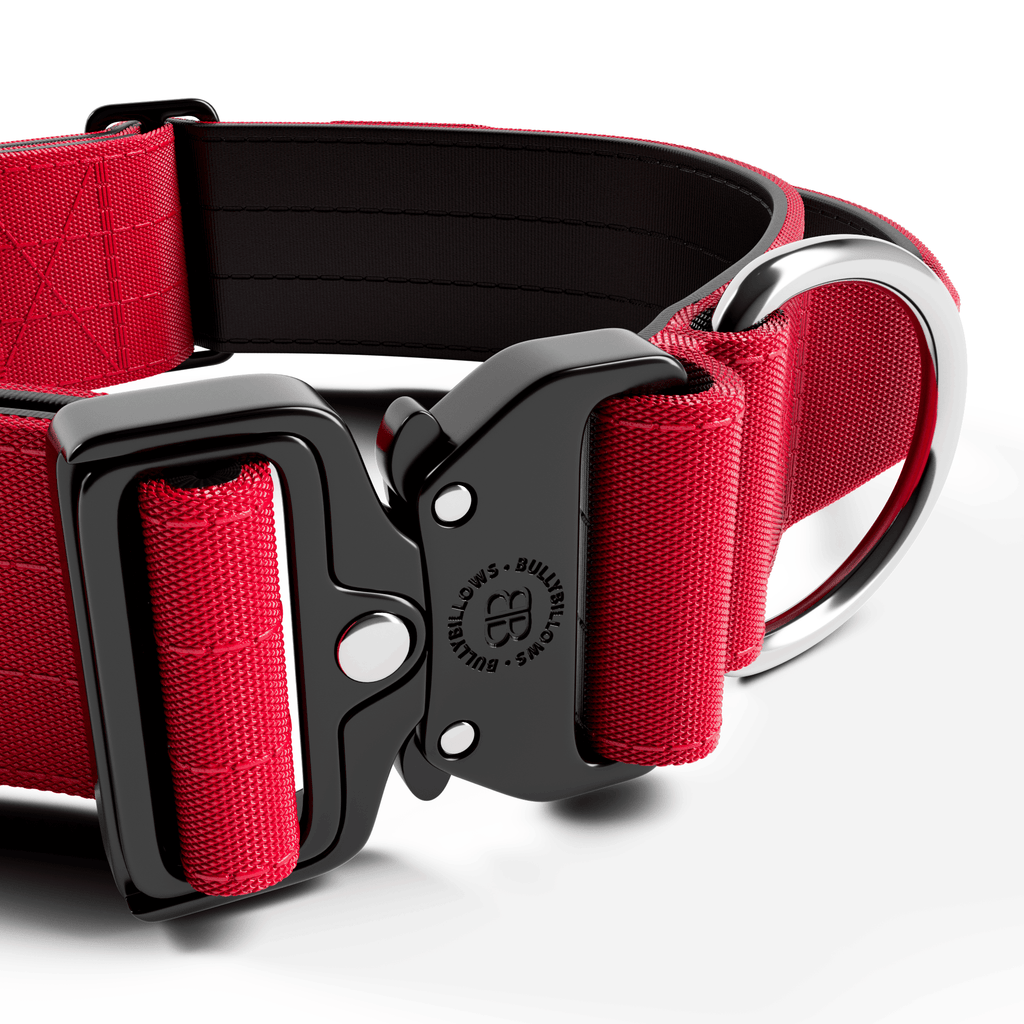 Wide Handle Dog Collar product image 2