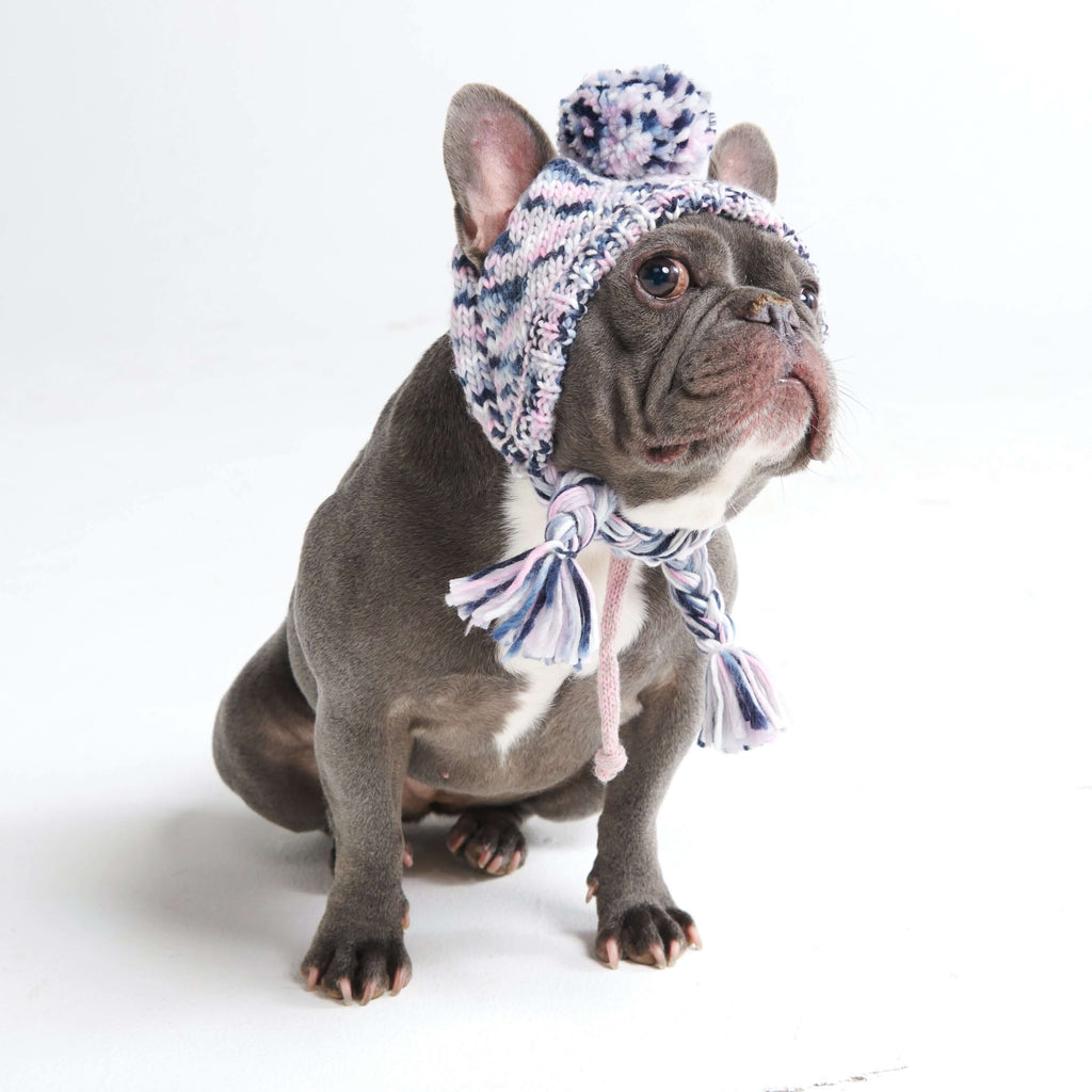 Knit Pom-Pom Dog Beanie product image 12
