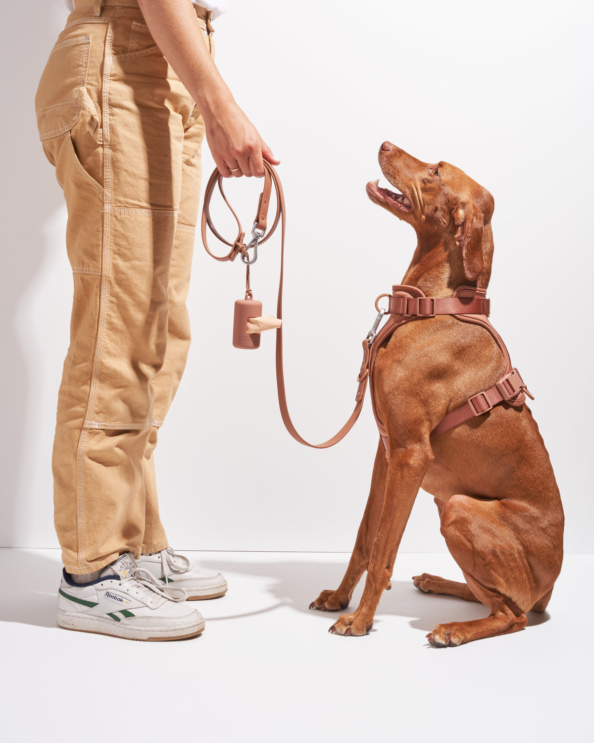 Cushioned No-Pull Dog Harness product image 24