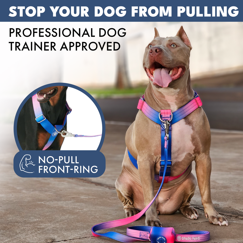 No-Pull Dog Harness Walking Set product image 38
