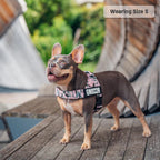 Adjustable Grab-Handle Dog Harness product image 53