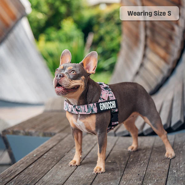 Adjustable Grab-Handle Dog Harness product image 53