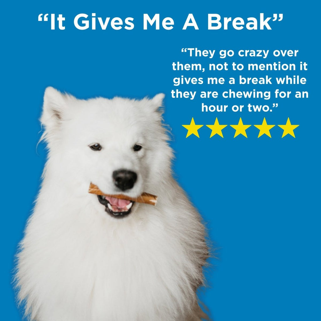 Four-Inch Odor-Free Bully Sticks product image 5