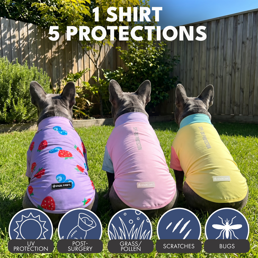 UPF 30 Dog Sun Shirt product image 73