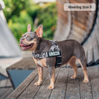 Adjustable Grab-Handle Dog Harness product image 58