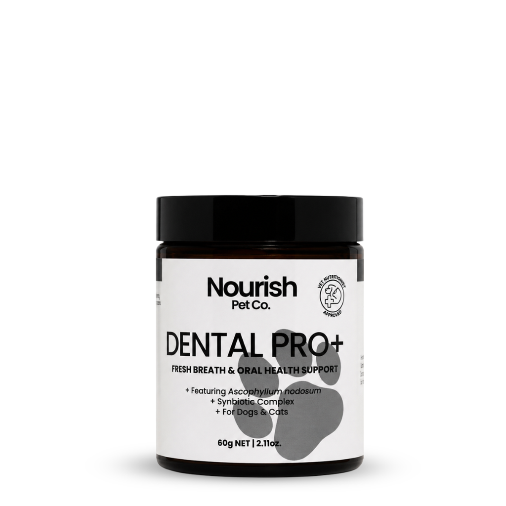 Dental Care Powder Default Title