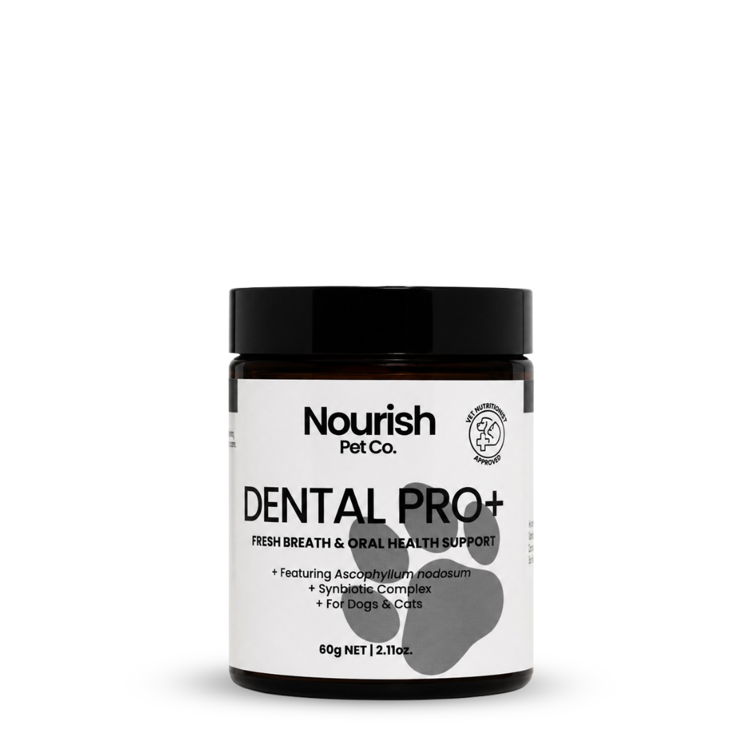 Dental Care Powder Default Title
