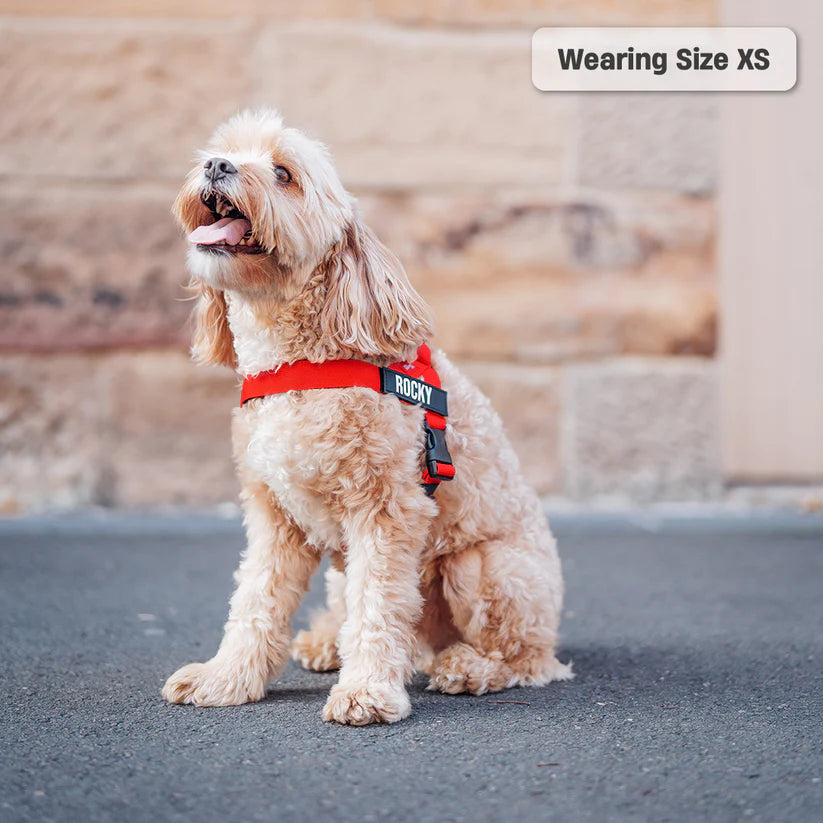 Adjustable Grab-Handle Dog Harness product image 33