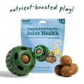 Hip and Joint Dog Enrichment Pops Small