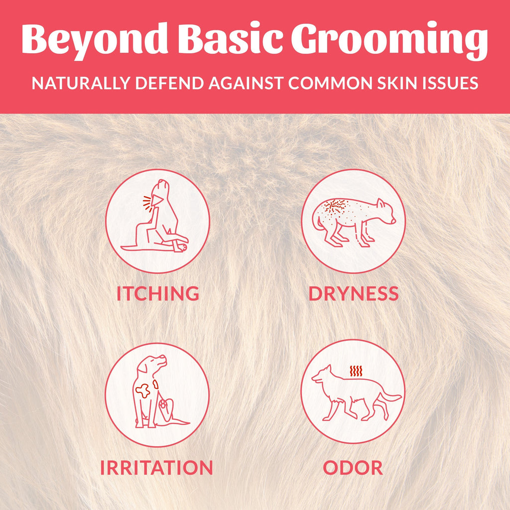 Probiotic Pet Shampoo and Conditioner product image 16