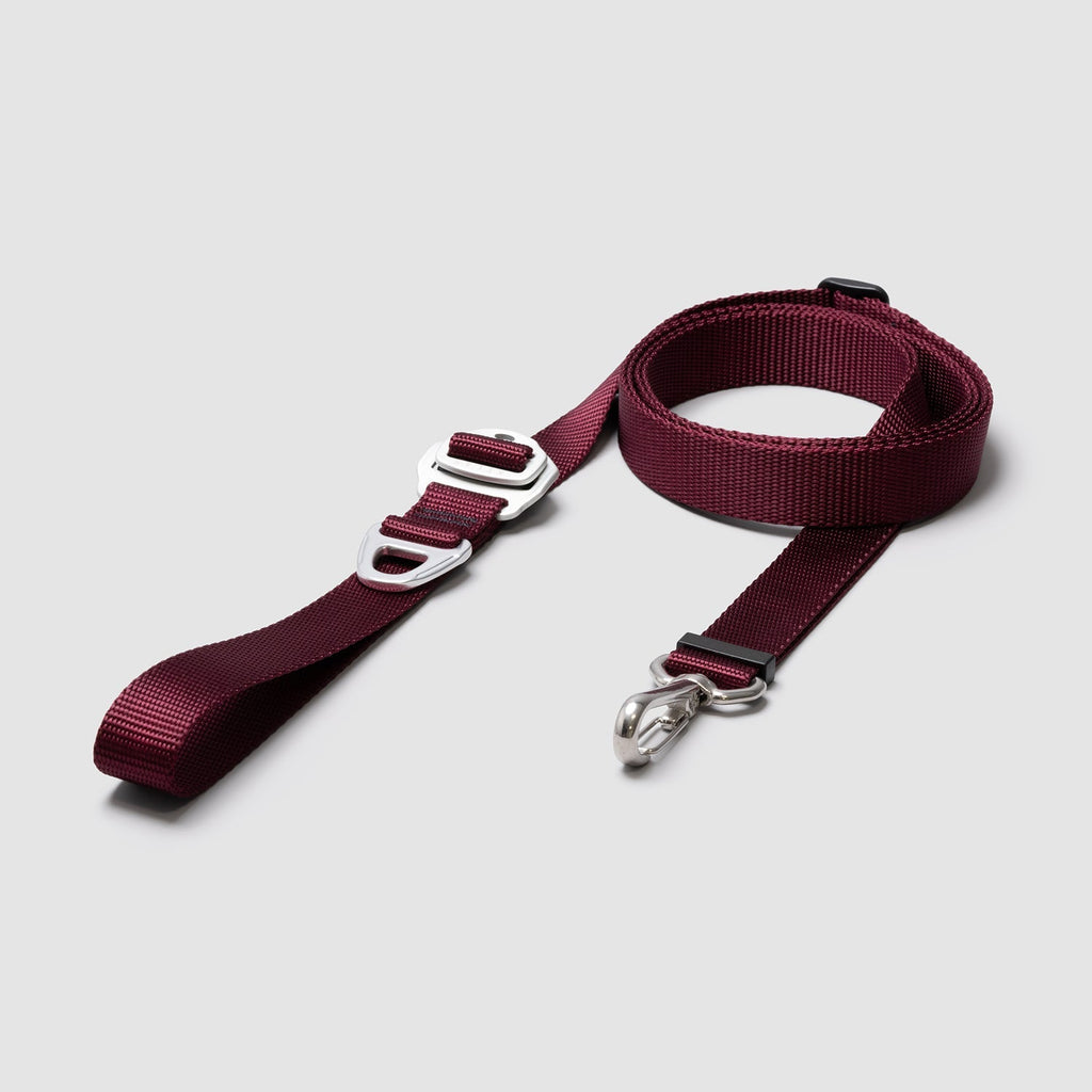 Adjustable Hands-Free Dog Leash product image 6