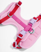 Cushioned No-Pull Dog Harness product image 6