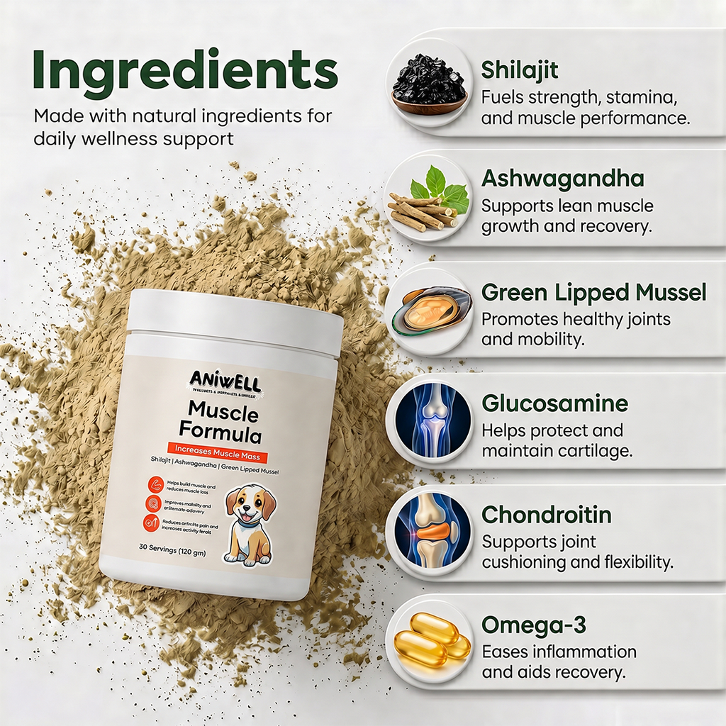 Dog Muscle and Joint Supplement Powder product image 2