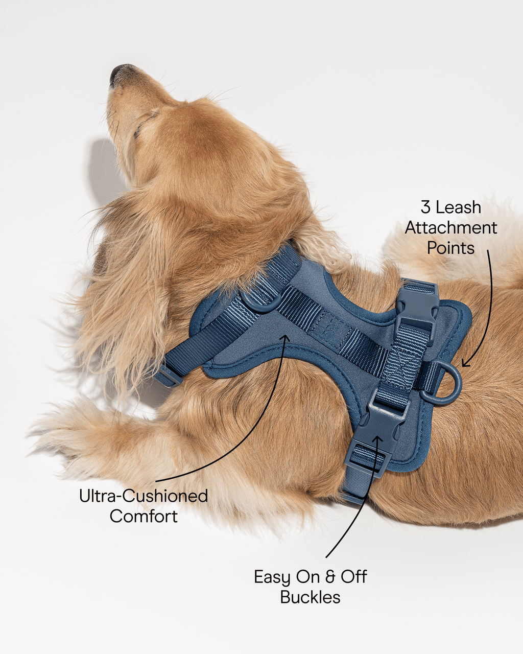 Cushioned No-Pull Dog Harness product image 46