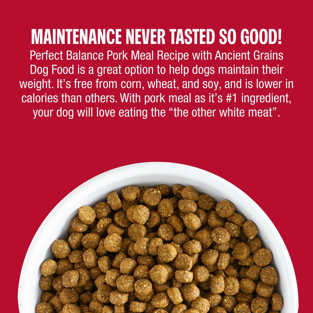 Pork Meal and Ancient Grains Dry Dog Food product image 8