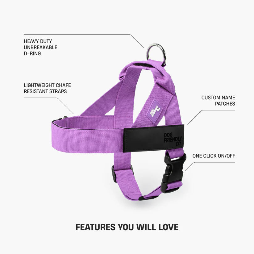 Adjustable Grab-Handle Dog Harness product image 17