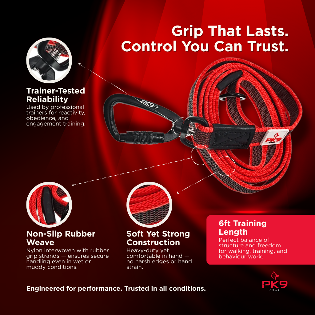 Dog Leash, 6ft Super Grip Non-Slip Training Lead for Wet Walks, Obedience Practice and Everyday Control