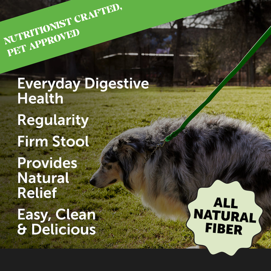 Dog Fiber Supplement product image 2