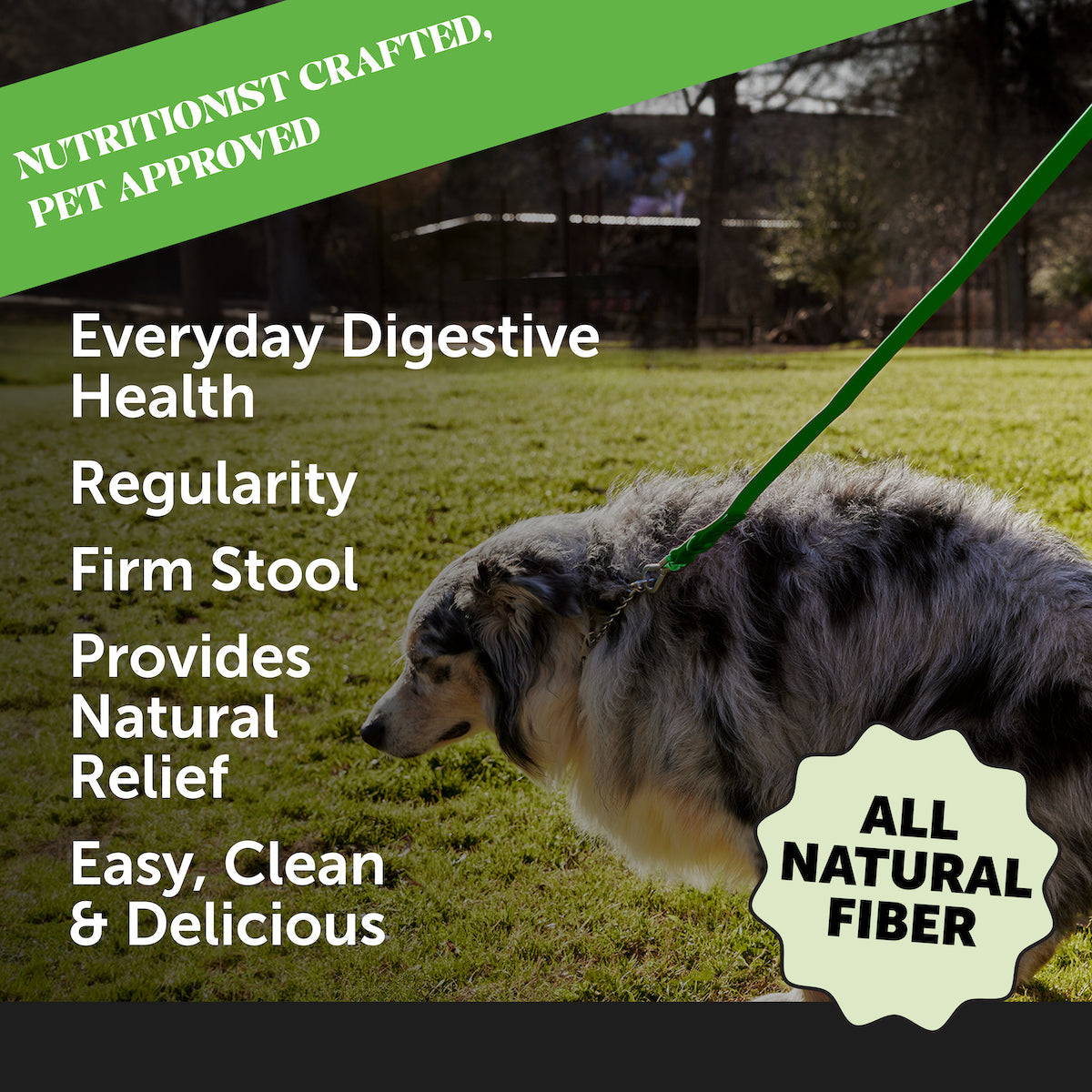 Dog Fiber Supplement product image 2