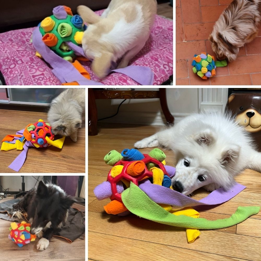 Dog Snuffle Ball product image 3