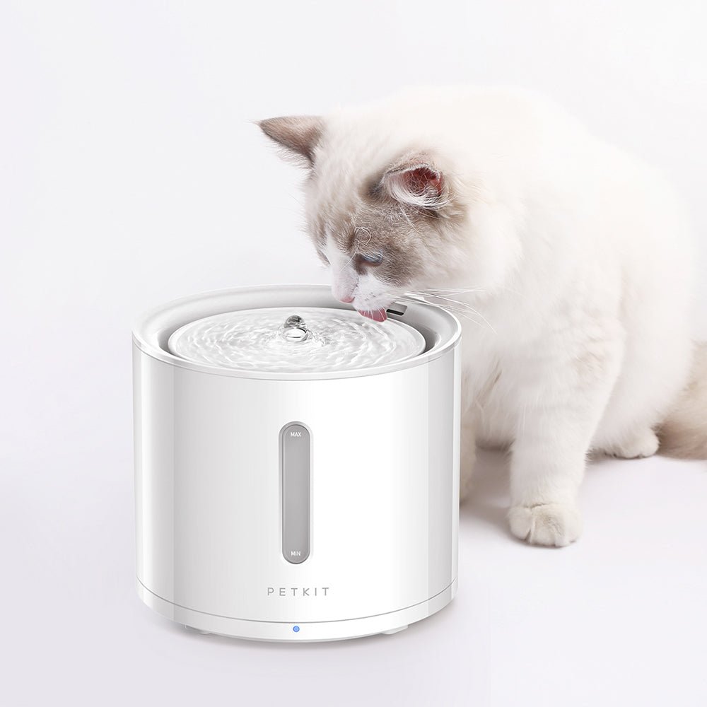 App-Controlled Pet Water Fountain product image 2