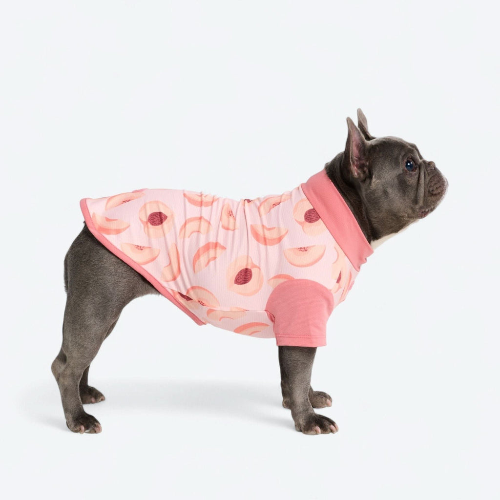 UPF 30 Printed Dog Sun Shirt product image 45