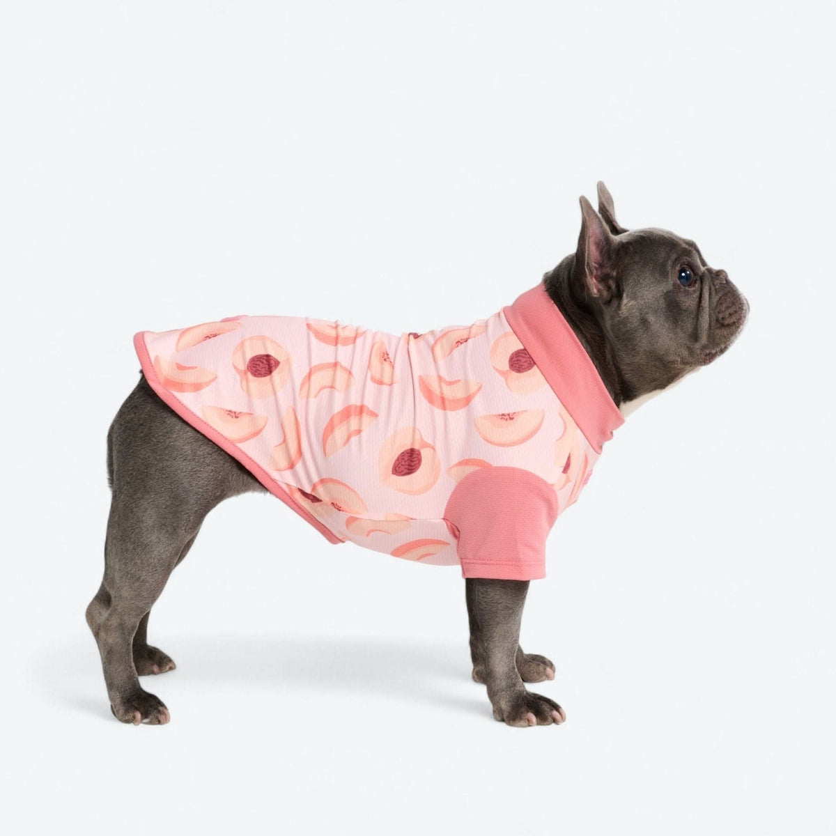 UPF 30 Printed Dog Sun Shirt product image 45