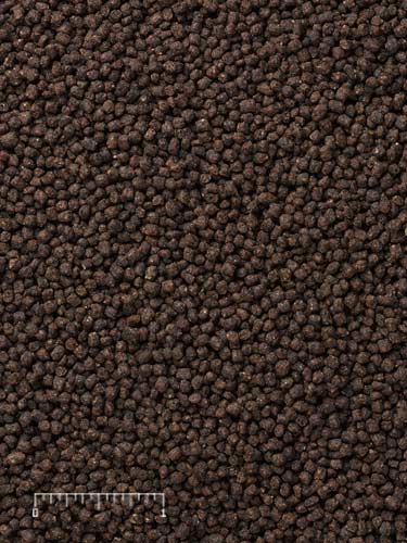 Carnivorous Fish Food product image 1
