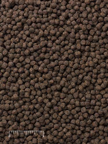 Carnivorous Fish Food product image 2