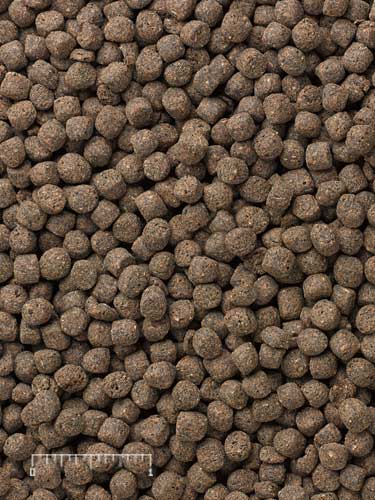 Carnivorous Fish Food product image 3