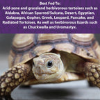 Tortoise Food product image 4