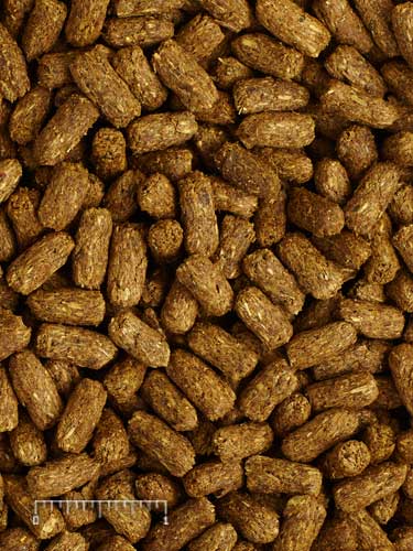 Tortoise Food product image 8