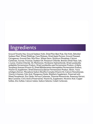 Tortoise Food product image 10