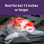 Koi Fish Food product image 5