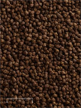 Aquatic Fish Food product image 2