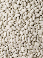 Shark and Ray Supplement product image 5