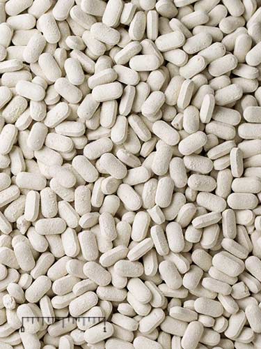 Shark and Ray Supplement product image 5
