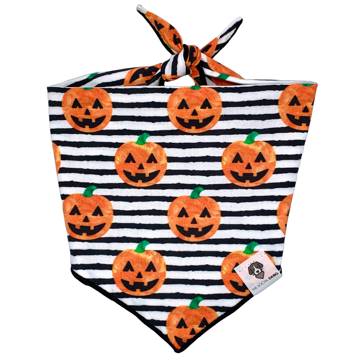 Tie-On Dog Bandana product image 1