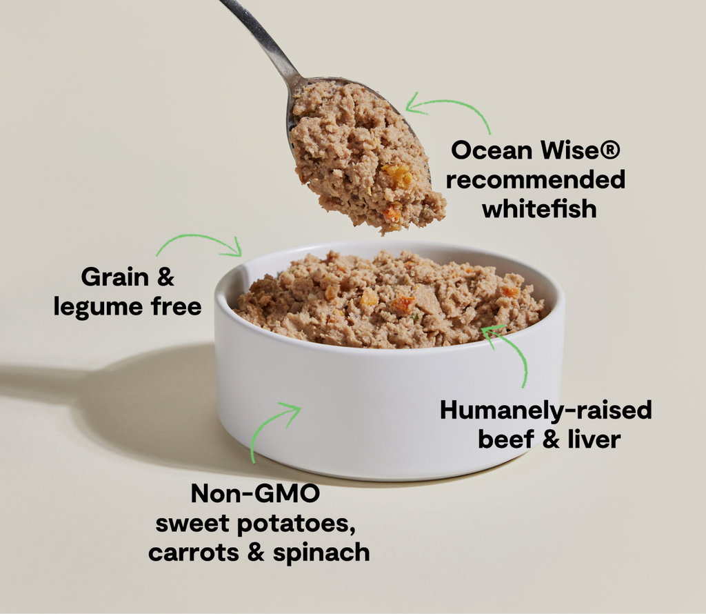 Wet Dog Food Pâté product image 4