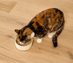 Wet Cat Food product image 5