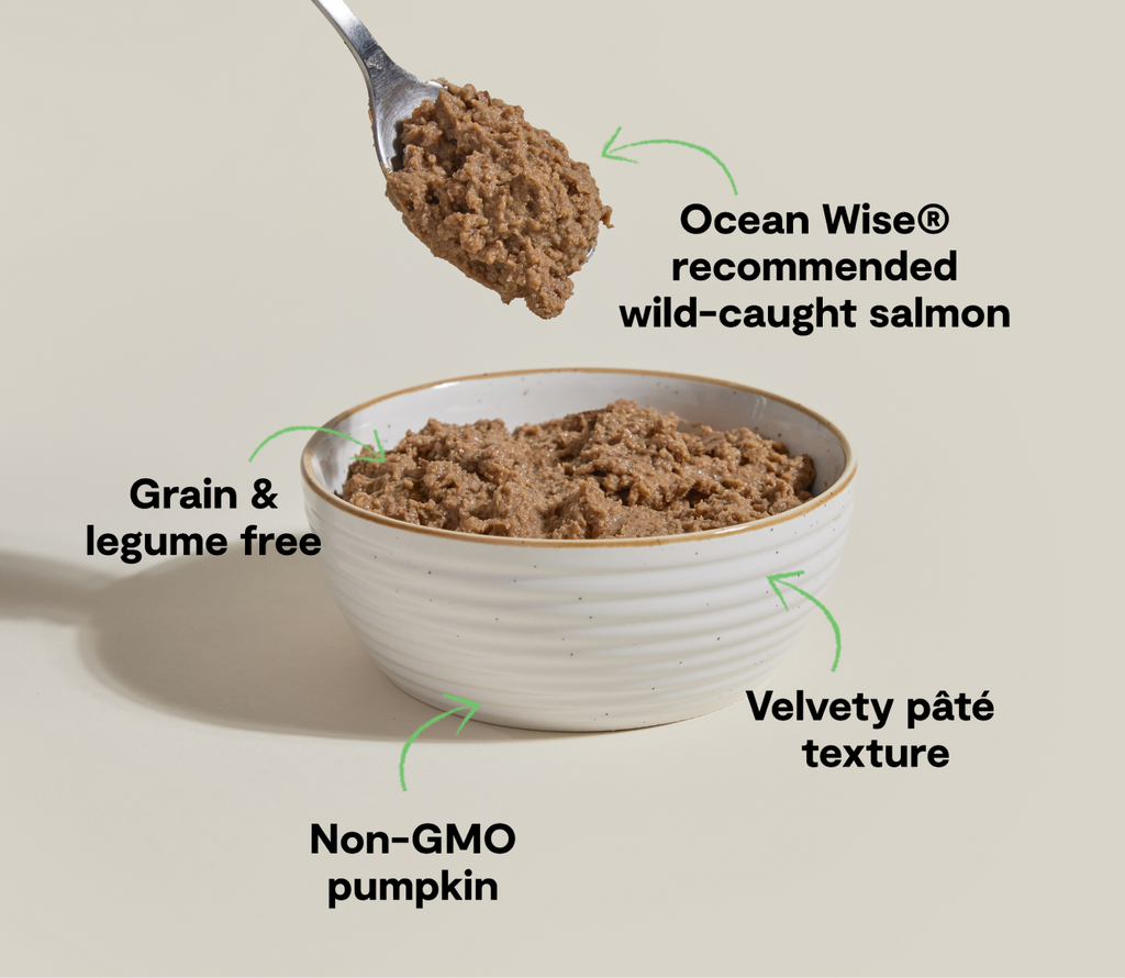 Wet Cat Food Pâté product image 4