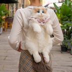 Cat Backpack product image 1