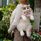 Cat Backpack product image 4