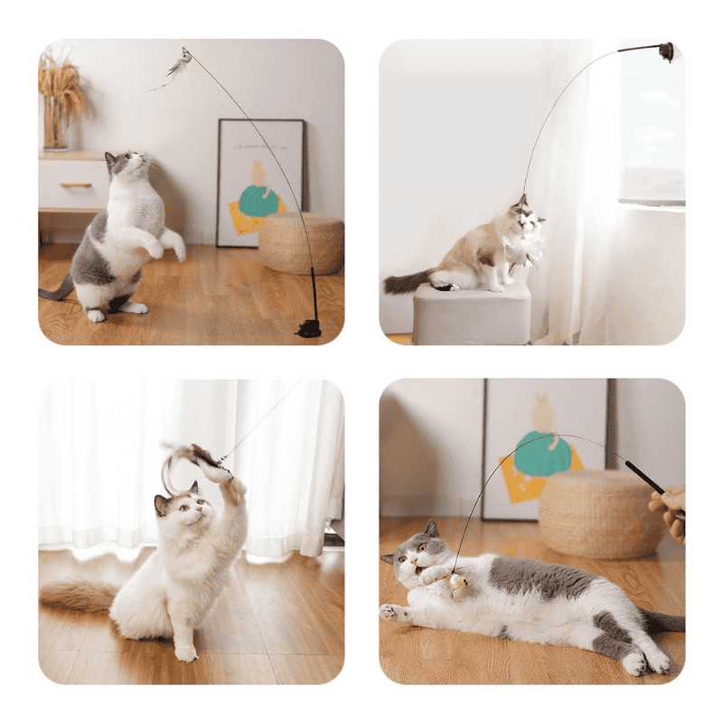 Leos paw Interactive Bird Simulation Cat Toy Set | Leo's Paw