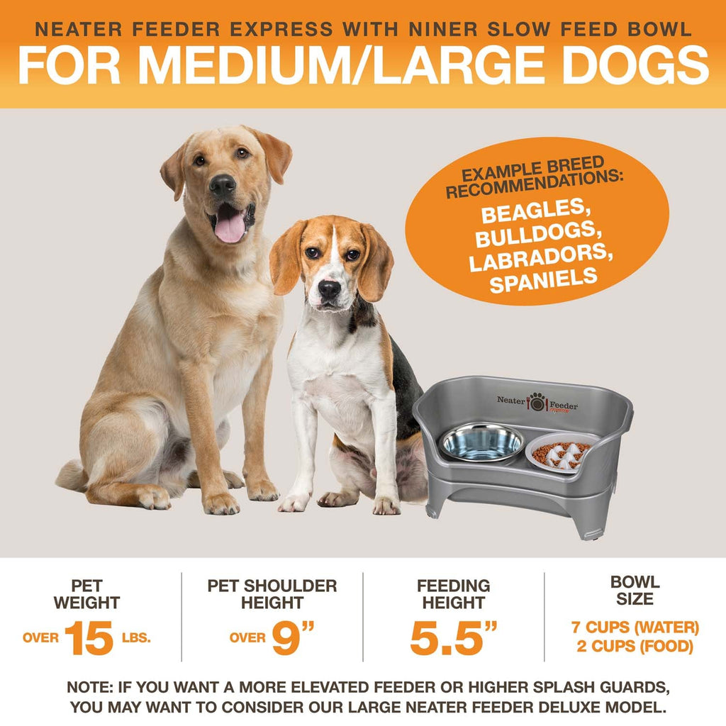 Elevated Slow Feeder product image 5