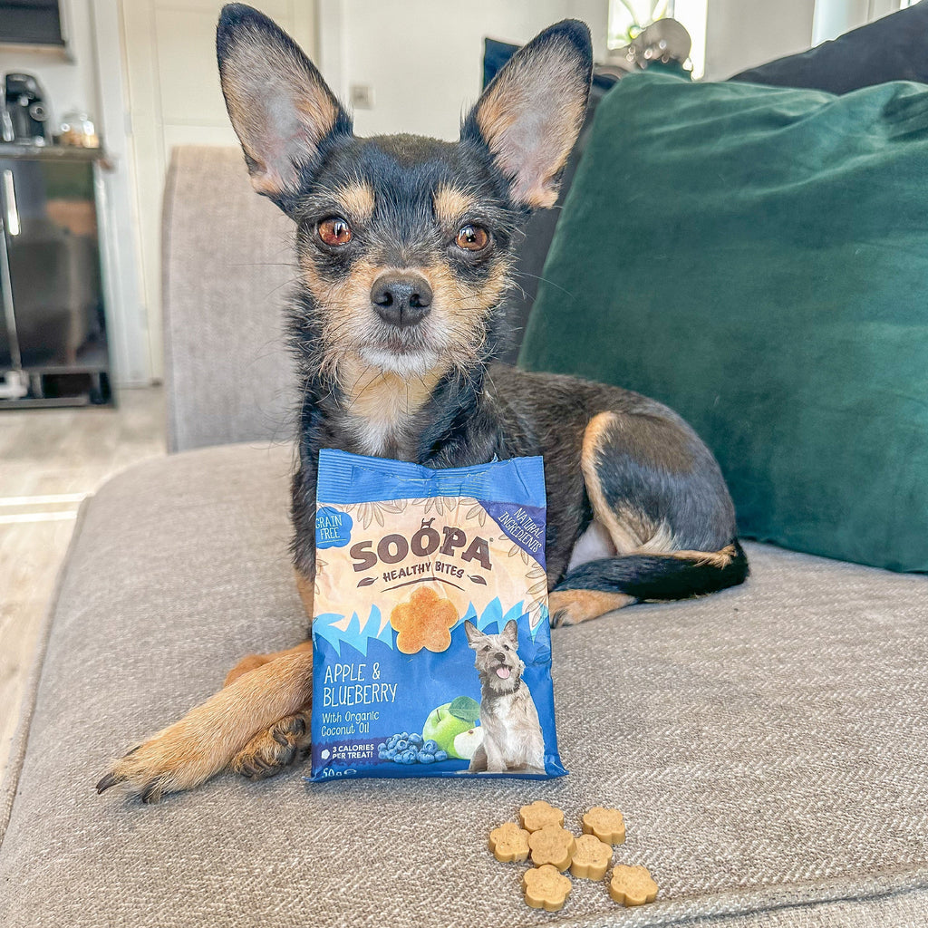 Dog Training Treats product image 5