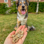 Dog Training Treats product image 6